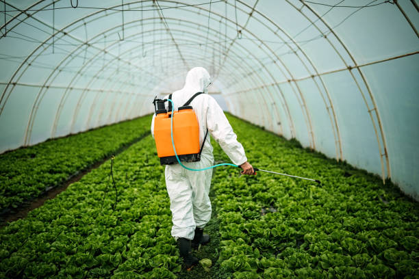 Best Best Pest Control Companies  in Siesta Key, FL