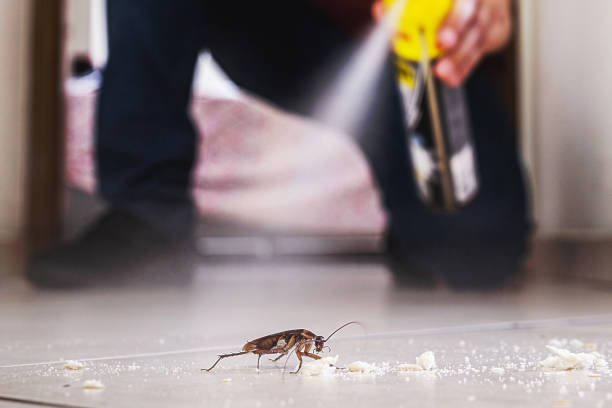 Best Cockroach Control Services  in Siesta Key, FL